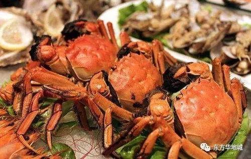 成人螃蟹夹球视频大全,趣味互动背后的奥秘解析