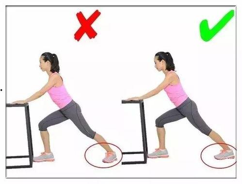 成人拉伸视频动作大全