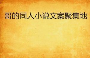 成人午夜小说文案视频