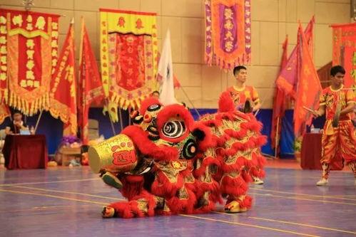 成人舞狮大赛视频大全集,成人舞狮大赛精彩瞬间大盘点