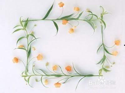 成人教你学画花朵视频